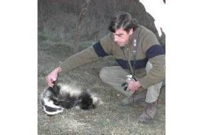 El portavoz de Tyto Alba en montes de Palacios de Compludo