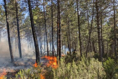 Los trabajadores de la lucha contra incendios continúan con las tareas para limitar el perímetro del incendio. DL