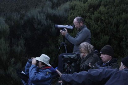 Imagen de un grupo de turistas ingleses realizando fotografías en Riaño. CAMPOS