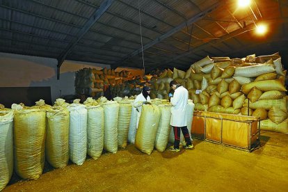 Instalaciones de Hopsteiner España en Villanueva de Carrizo.