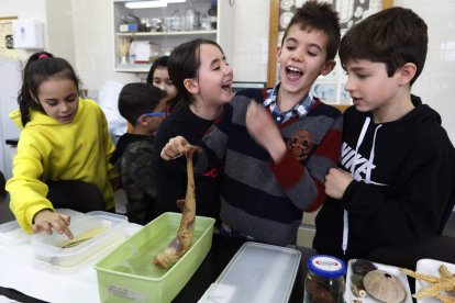 Escolares de cuarto de Primaria del CRA Maestro Emilio Alonso de Lorenzana en un laboratorio de la Facultad de Ciencias Biológicas y Ambientales.