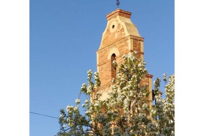 La espadaña de Villavante con ‘la peral’ florecida. CELADILLA