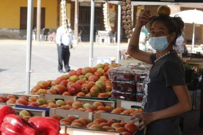 El Tomate de Mansilla se coloca en lo alto aumentando cada año su producción. RAMIRO