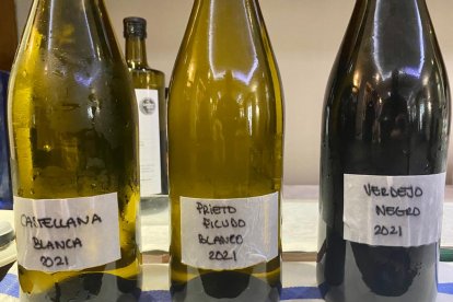 Botellas de vino Verdejo. DL