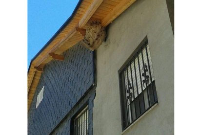 Nido de avispón en una vivienda en Friera (Sobrado). DL