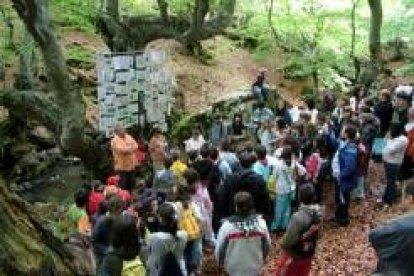 Alumnos de seis colegios asistieron el pasado mes de junio a la presentación del libro en el bosque