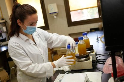 Uno de los laboratorios de la Facultad de Veterinaria en el que trabajan los alumnos de Ciencias y Tecnologías de los Alimentos. FERNANDO OTERO