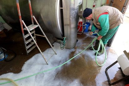 El precio de la leche se paga ahora a 60 céntimos de euros, lo que permite a los ganaderos no producir a pérdidas. MARCIANO PÉREZ