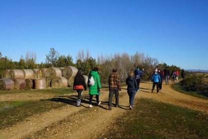 Paseo dialogado que Narrativas solares realizó entre Navafría y Solanilla, en la primera fase de la macroplanta solar. ALFREDO ESCAPA