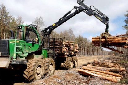 El sector de la madera no encuentra trabajadores cualificados para cubrir la demanda de empleo. MARCIANO PÉREZ