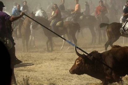 El toro de la vega acosado por los lanceros en Tordesillas.