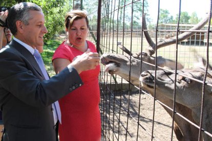 Gutiérrez, junto a la directora del coto, dio de comer a los animales.