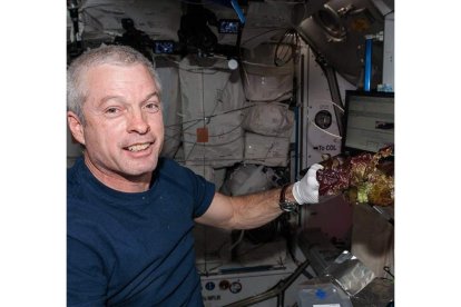 Los miembros de la tripulación de la ISS comieron algunas de las lechugas.