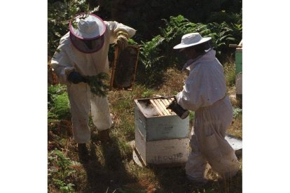 Imagen de archivo de dos apicultores con una colmena.