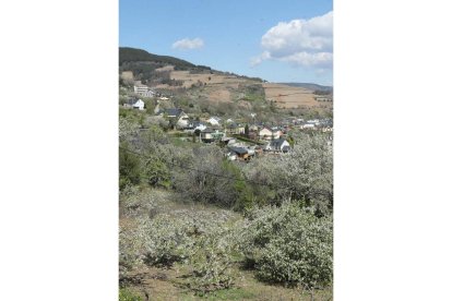 Vista de Corullón, donde se fomentan nuevas plantaciones. L. DE LA MATA