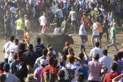 El Toro de la Vega se celebrará el próximo martes en Tordesillas. R. GARCÍA