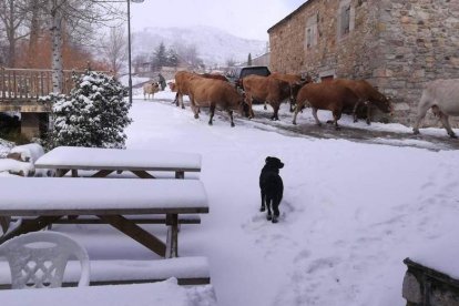 El pueblo más alto de la provincia, La Cueta, cubierto ayer de nieve. DL