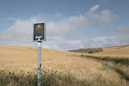 Etapa 10 Camino de Santiago desde León: Palas de Rei - Arzúa Foto: Unsplash