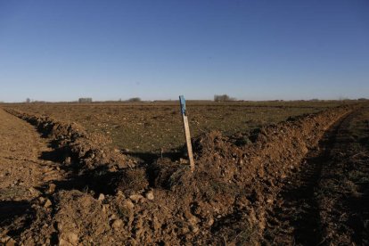 Las máquinas ya han empezado a trabajar en Santa María de la Isla. FERNANDO OTERO