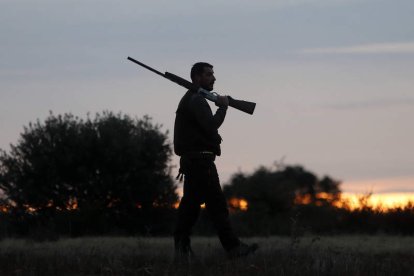 Un cazador en una jornada en el campo leonés. Y en una temporada en positivo. JESÚS F. SALVADORES