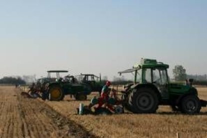 El concurso de arada muestra la pericia de los agricultores con la tierra