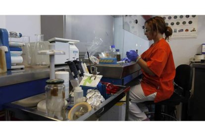 Un equipo de científicos de prestigio realiza cada uno de los controles a los que se somete a los alimentos y que son encargados por empresas del sector alimentario.