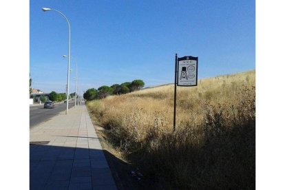 Estado de una de las zonas para perros en la capital.