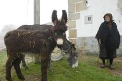 El burro sigue siendo habitual en el paisaje montañoso de la región norte de Portugal