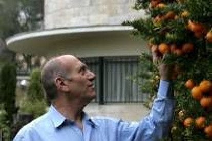 El primer ministro israelí, Ehud Olmert, observa un naranjo en su casa