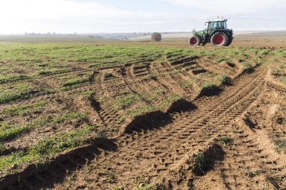 Los vehículos dejaron roderas en las fincas e incluso formaron nuevos caminos. F. OTERO PERANDONES