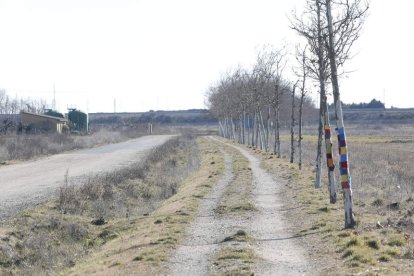 Tramo del Camino de Santiago a su paso por El Burgo Ranero. MARCIANO PÉREZ