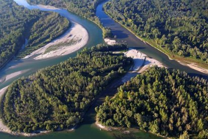 Vivir del bosque es posible y necesario para frenar el cambio climático. Safarek