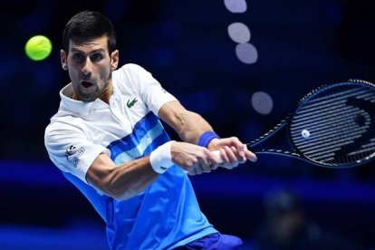 El tenista serbio Novak Djokovic . DL