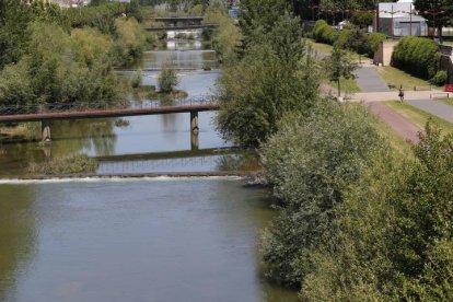 Zona del río donde se produjo una de las dos agresiones.