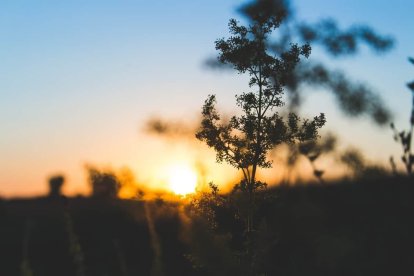 El tiempo en Valdepiélago AEMET Foto: Pexels