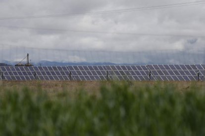 Campo de placas solares. FERNANDO OTERO