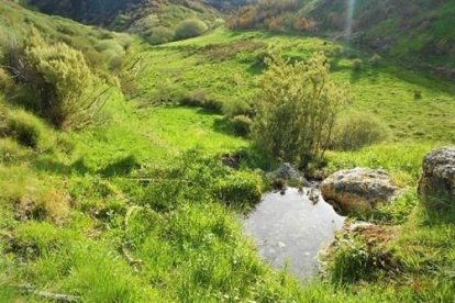 La zona afectada es un paraje de alto valor ecológico. ECOLOGISTAS EN ACCIÓN LEÓN