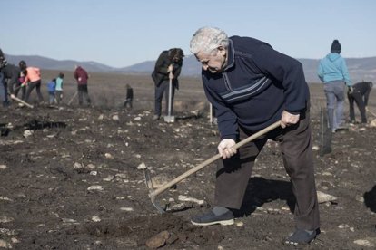 Los mayores también se sumaron a la plantación de árboles. DL