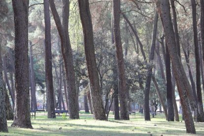 El parque del Temple, en una imagen de esta semana. ANA F. BARREDO