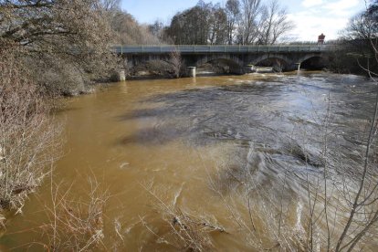 El Tuerto, a su paso por San Félix de la Vega, y el Bernesga, en la capital, ayer, durante el periodo de alerta por la crecida. RAMIRO