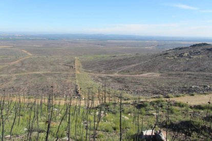 Paraje de Tabuyo afectado por el incendio. DL