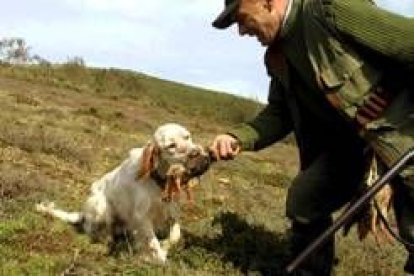 En esta imagen de archivo, un perro perdiguero entrega su presa al cazador que acaba de abatirla