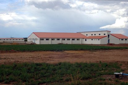 Instalaciones del Centro Tecnológico de Inseminación Artificial Porcina (CENTROTEC) de León que espera conseguir a "corto plazo" un interesante proyecto que permitirá la separación de los cromosomas X e Y de los espermatozoides de los cerdos, con el fin de "poder elegir el sexo del animal".