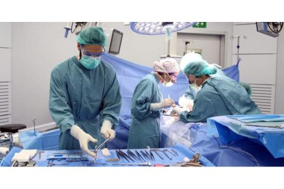 PImagen cedida por el Hospital Vall d’Hebron durante la realización de un trasplante de órganos en el centro sanitario. EFE