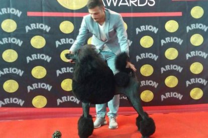 El caniche gigante negro ganador de la exposición celebrada en el Mercado de Ganados de León. DL