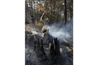 El fuego de Ávila se cobró dos vidas y 5.000 hectáreas.