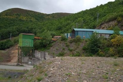 Las vacas permanecieron inmovilizadas varias semanas en Villablino. V.A.