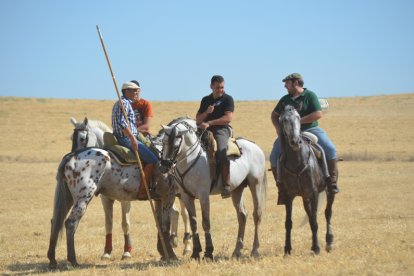 Villaornate. Encierro de Campo con dos vaquillas, organizado por la Asociación Taurina Los Cuernos