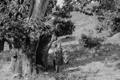 Doireann McDermott, esposa de Ramón Carnicer, con su hijo Alonso bajo un castaño en Puente de Domingo Flórez en 1962.