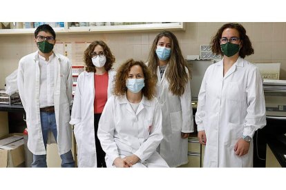 María José Ranilla (en el centro) con parte del equipo que desarrolla la investigación en el Departamento de Producción Animal de la ULE. MARCIANO PÉREZ